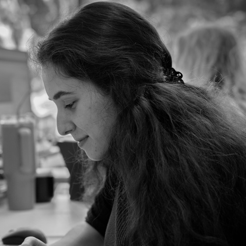 Alexandra Torcato Alves