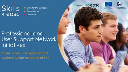 6 - Professional and User Support Network Initiatives