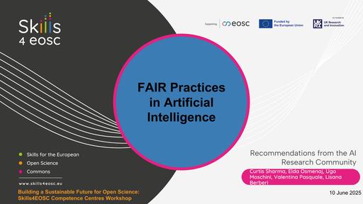 13 - FAIR Practices in Artificial Intelligence